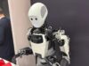 Famed roboticist says humanoid robot bubble is doomed to burst