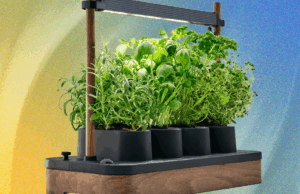 Auk Mini Review: Start Your Own Seeds, Scandinavian Style