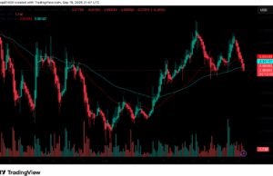 LINK vs XRP: Which Crypto is Better to Hold in Q4 2025?