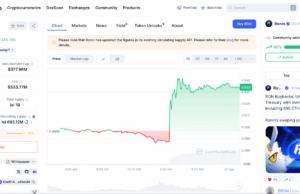 RON Crypto to Go Parabolic as Ronin Reveals Token Burns: Time to Buy?