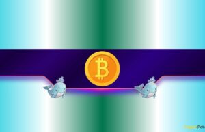 Big Moves Ahead for BTC and ETH as Whale Activity Surges?