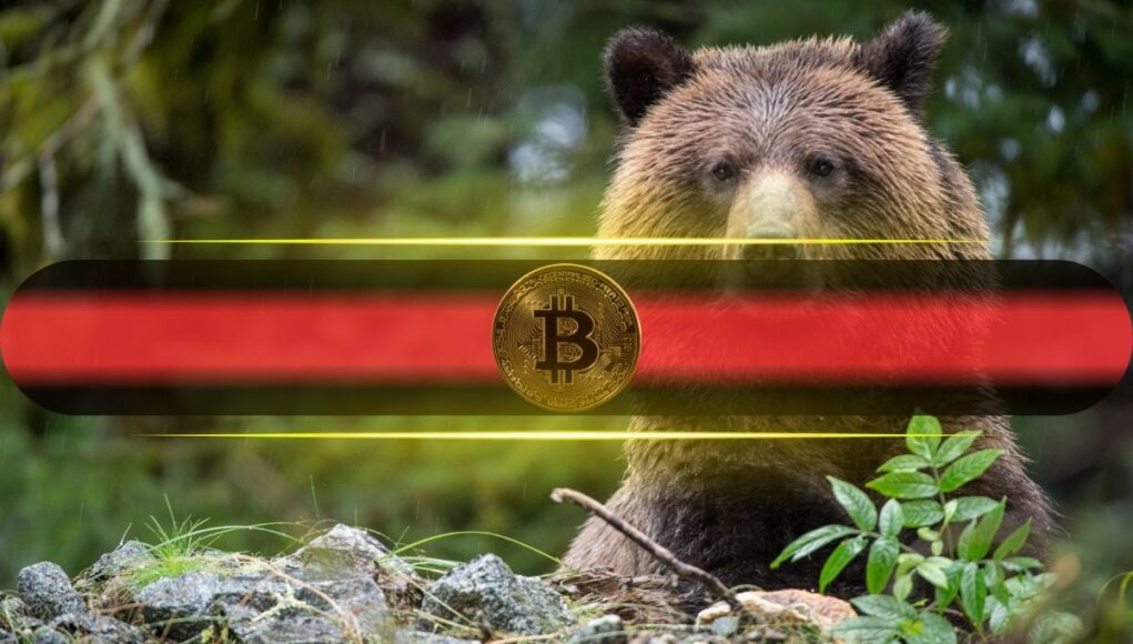 Bitcoin_Bear.jpg