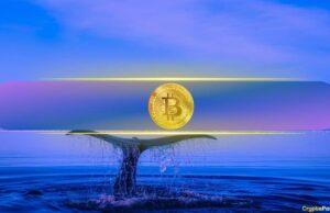 3,003 BTC Transferred Amid Aggressive Shorting