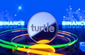 Turtle (TURTLE) to Binance HODLer Airdrops