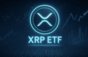 Spot XRP ETF May Launch November 13 After Canary Capital Removes Delaying Amendment