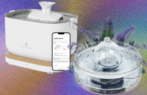 9 Best Cat Water Fountains, WIRED Tested and Reviewed (2025)