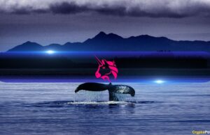 Binance Whales Are Quietly Buying Up Uniswap’s UNI Token Amidst Market Weakness