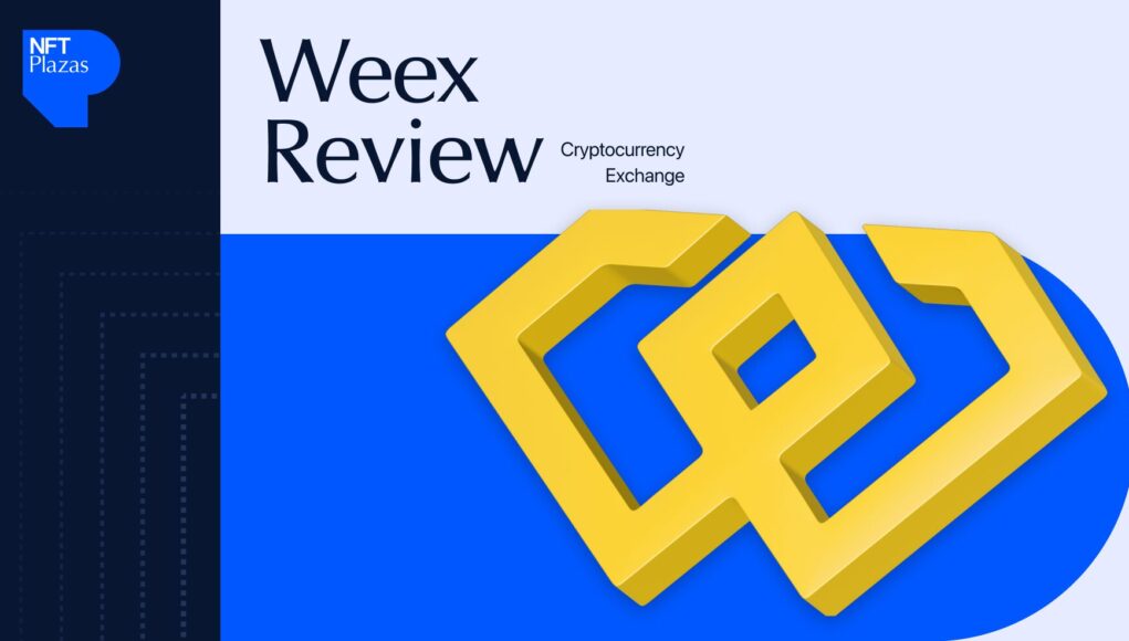 Weex-review.jpg