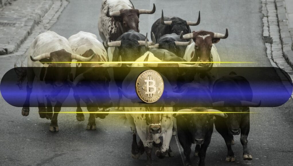 bitcoin_bulls_cover.jpg