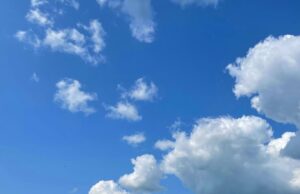 Waffles eat Bluesky | TechCrunch