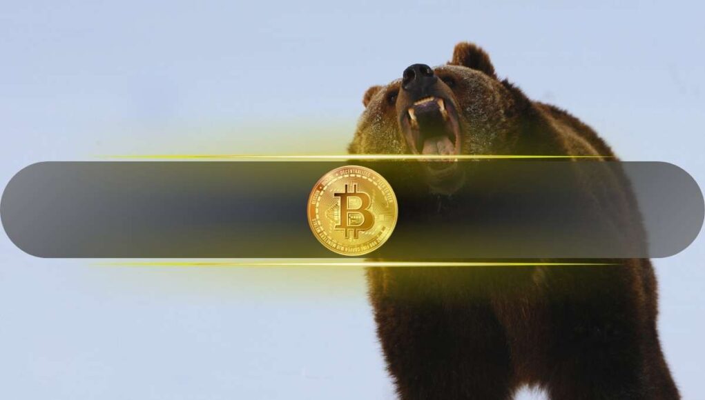 btc_bear_cover.jpg