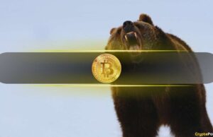 Bitcoin Drop Near $101,700 Could Confirm a New Bear Market