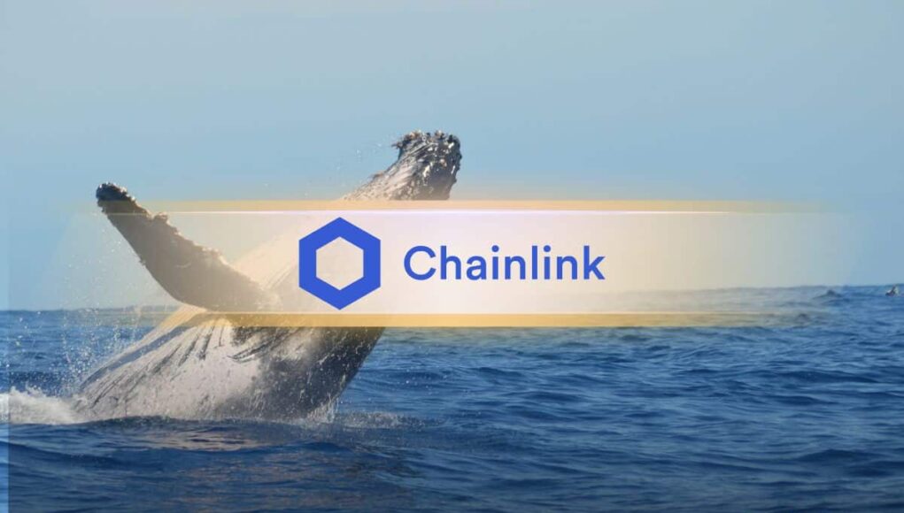 chainlink_whales_cover.jpg