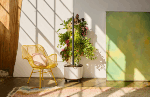 The Gardyn Studio 2 is here: A first look and our first impressions