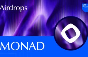 Check Your MONAD Airdrop! – NFT Plazas