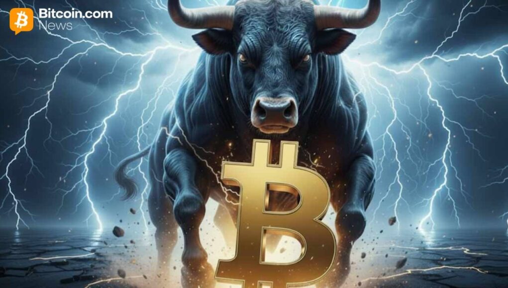 samson-mow-bitcoin-bull-market.jpg