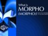 What is Morpho (MORPHO)? DeFi Yield Optimizer Backed by a16z
