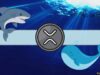 Ripple Whales Behind the Move Below $2.5?