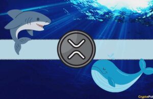 Ripple Whales Behind the Move Below $2.5?