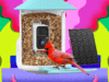 Amazon Is Having a Huge Black Friday Sale on Birdfy Smart Bird Feeders (2025)
