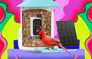 Amazon Is Having a Huge Black Friday Sale on Birdfy Smart Bird Feeders (2025)