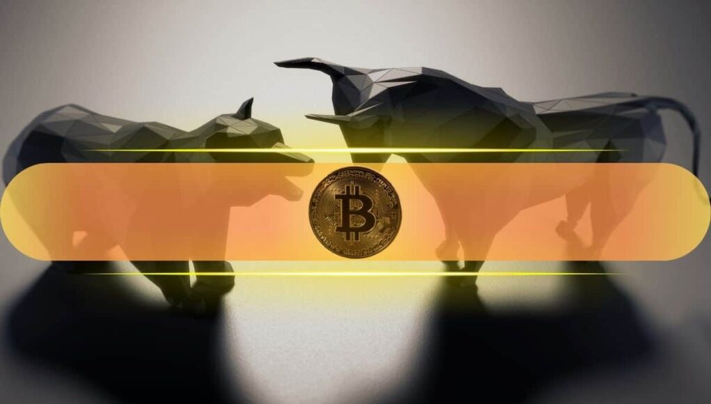 Bitcoin_Bear_Bull.jpg