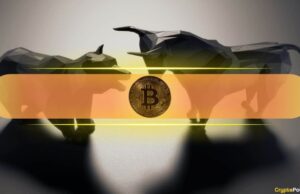 Is the Crypto Bull Cycle Over, or Is This Just a Deep Correction? CryptoQuant Offers Insights