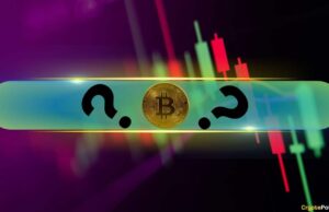 Double-Digit Gains From These Altcoins as Bitcoin Reclaims $106K: Market Watch