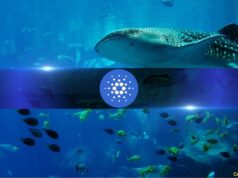 Cardano Holder Loses 87% of $6.9M in Botched USDA Swap