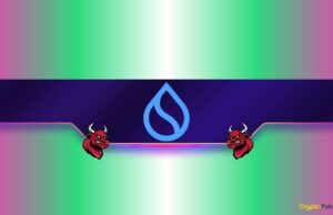 Sui (SUI) Soars by 11% Daily: Major Bull Run Incoming?