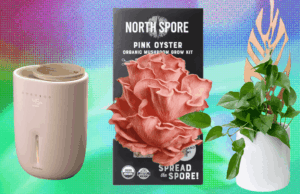 The 17 Best Gifts for Plant Lovers We’d Buy Ourselves (2025)