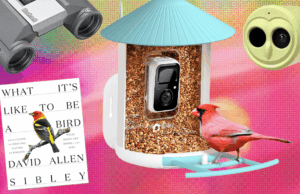 The 19 Best Tried and Tested Gifts for Bird Lovers (2025)