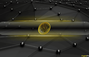 Bitcoin Leverage Flush Wipes Out $8B in Open Interest as Whales Accumulate