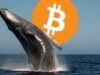 Bitcoin OG offloads 13,004 BTC to Kraken impacting market