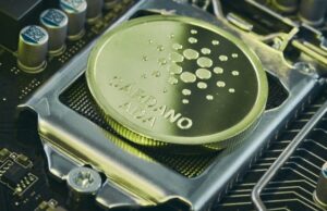 Cardano network recovers after malformed transaction triggers chain partition