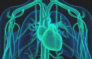 A Gene Editing Therapy Cut Cholesterol Levels by Half