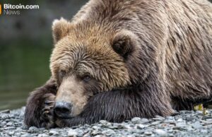 Van Eck: Investors Shed Bitcoin Bracing for a Bearish 2026