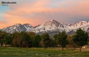 Avalanche’s RWA Ecosystem Strengthened: Liquidity Yield Token Offers Risk-Adjusted Returns with Zero Lockups