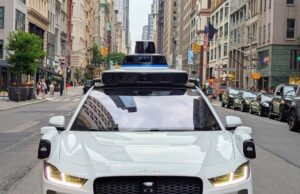 Beloved SF cat’s death fuels Waymo criticism