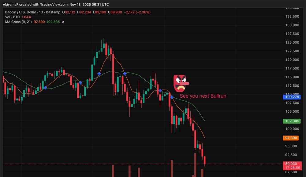 why-is-bitcoin-price-dropping-altcoin-bear-market-tradingview.jpg
