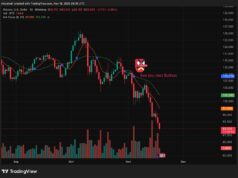 Crypto News Today, November 18: Why is Bitcoin Price Dropping? Are We Expecting a Bear Market as Bull Run Failed to Pump Altcoins?
