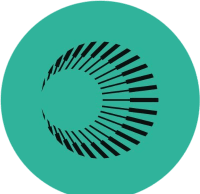 Plasma (XPL Crypto) Loses 85 % of Its Value in Six Weeks: What Happened?