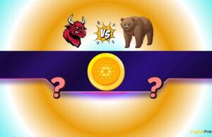 20% Drop or 50% Rally Ahead?