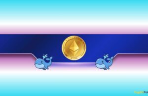 Ethereum Whales Stack Millions of ETH Despite Slow Price Action