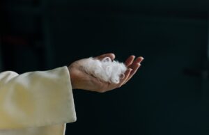 Everbloom built an AI to turn chicken feathers into cashmere