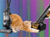 The Best Vacuum for Pet Hair—We Tested Many to Find Which Ones Work Best (2026)