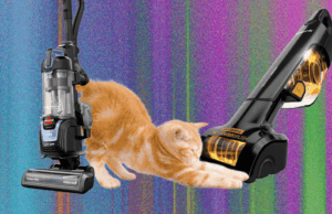 The Best Vacuum for Pet Hair—We Tested Many to Find Which Ones Work Best (2026)