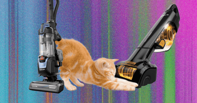 The Best Vacuum for Pet Hair—We Tested Many to Find Which Ones Work Best (2026)