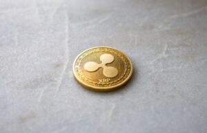 Ripple-backed Evernorth faces $220M drawdown as XRP struggles