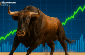 Bitwise Eyes Massive 2026—CEO Says ‘People Are Not Bullish Enough’